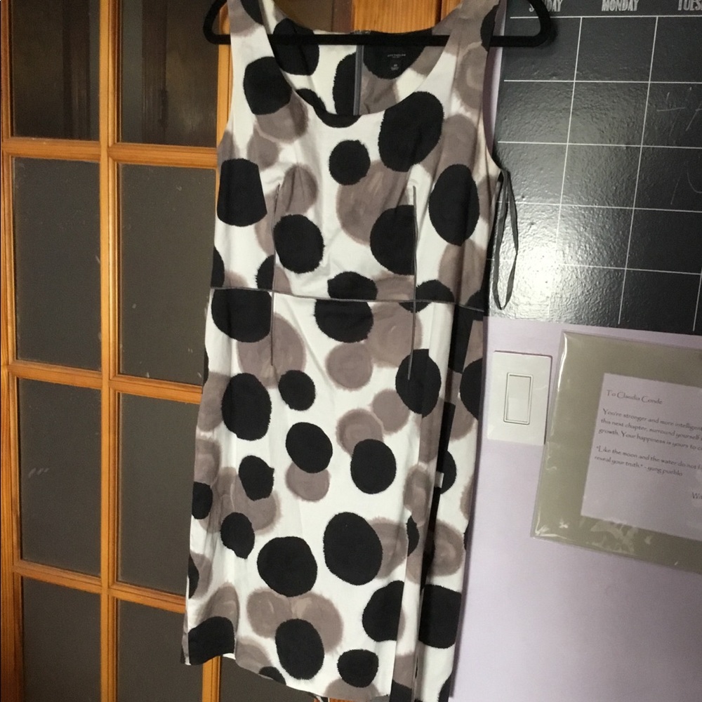 Ann Taylor Dress